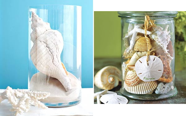 how-to-decorate-interior-with-seashells-2
