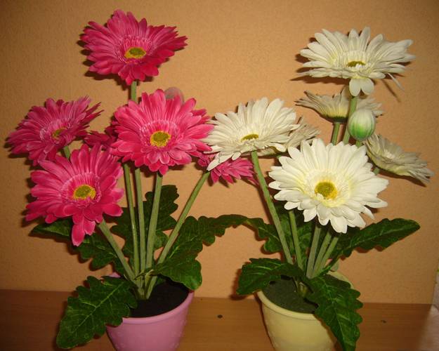 interior-decorating-flowers-gerberas-flowering-plants-5
