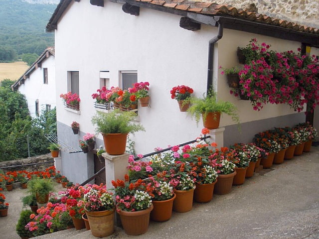 spain-house-home-flowers-pots-potted-nature