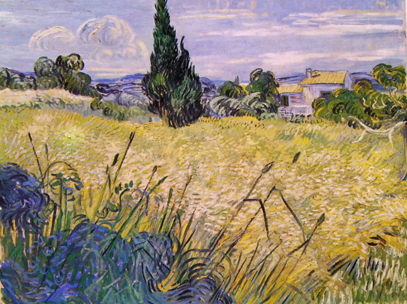 Van Gogh Campo verde di grano