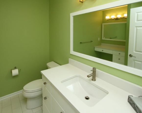 beautiful-green-bathroom-white-vanity-austin-lake-residence