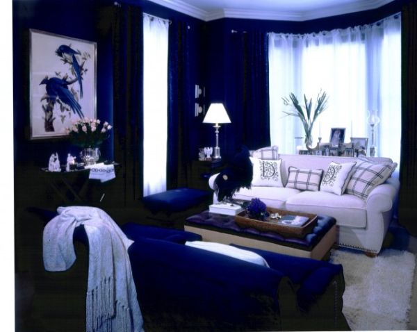 blue-living-room (1)