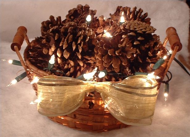 615x200-ehow-images-a04-aq-lj-make-lighted-pine-cone-baskets-800x800