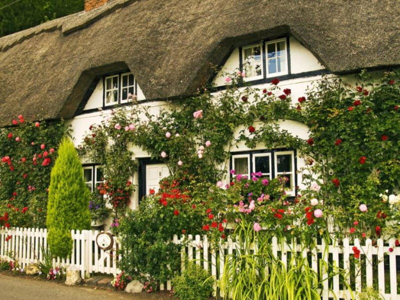 english_cottage_garden_wallpaper_rpo5l