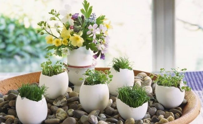diy-spring-easter-home-decorating-ideas-egg-shell-vases-pebbles-flowers-cress-grass