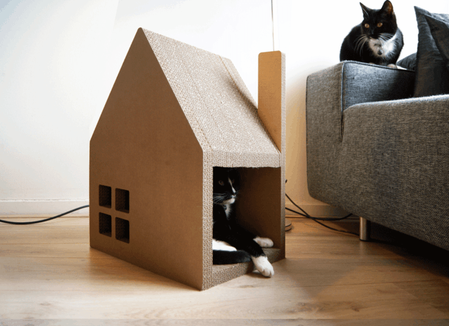 schwarz-weiße-Katze-Karton-Haus-umweltfreundlich-Wohnung