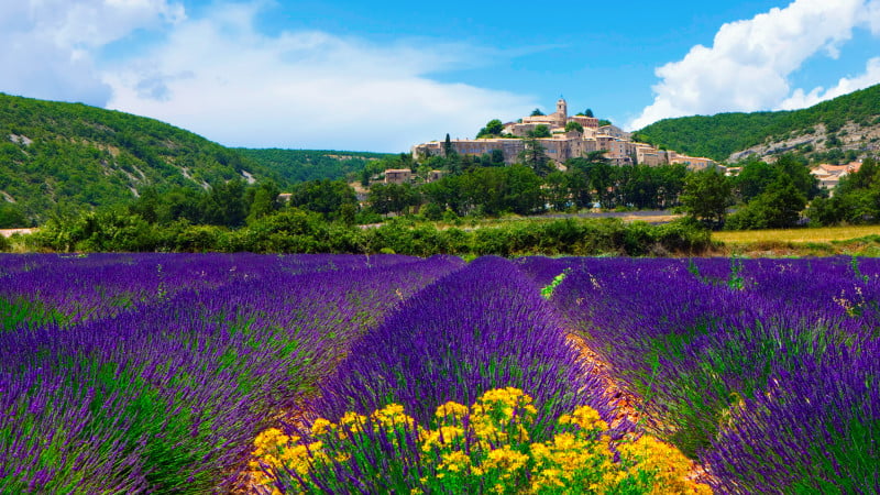 Lavender-Field-In-Provence-France-1600x900